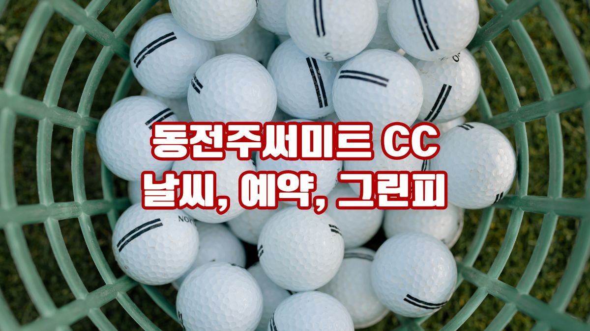 동전주써미트 CC 날씨