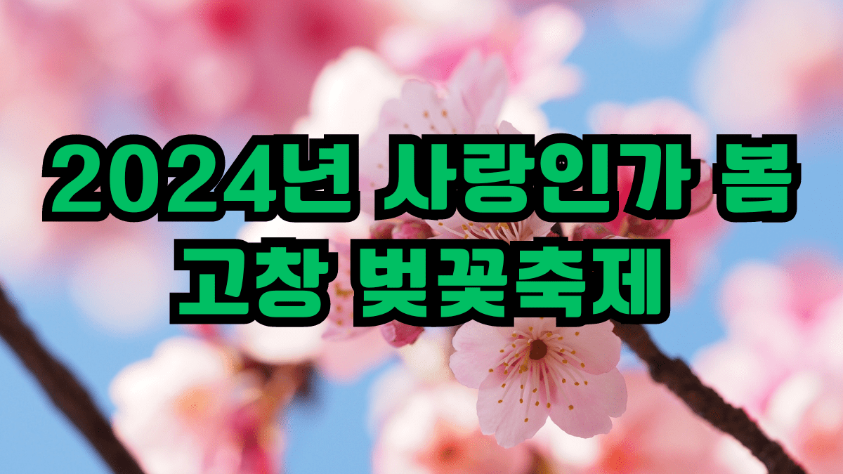 2024년 사랑인가 봄 고창 벚꽃축제