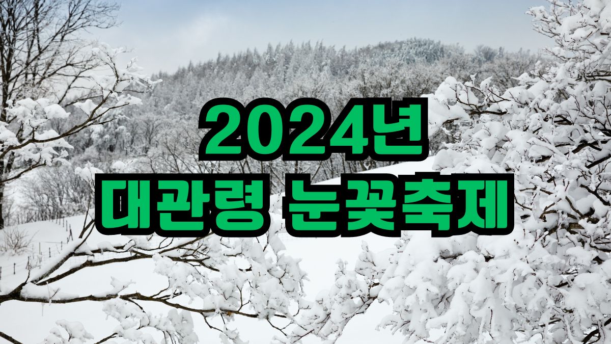 2024년 대관령 눈꽃축제