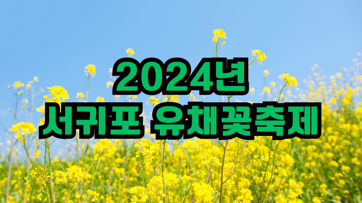 2024년 서귀포 유채꽃축제