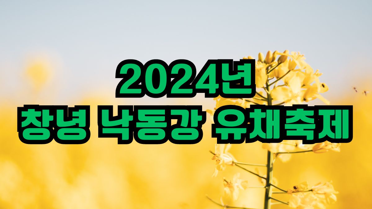 2024년 창녕 낙동강 유채축제