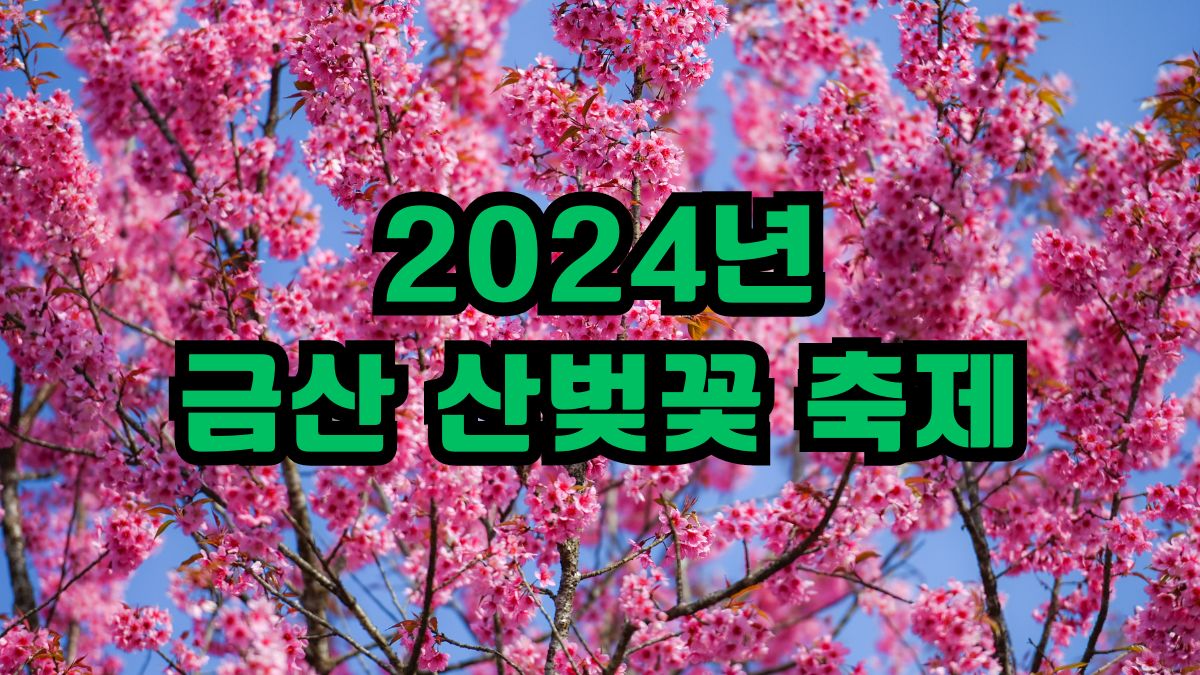 2024년 금산 산벚꽃 축제