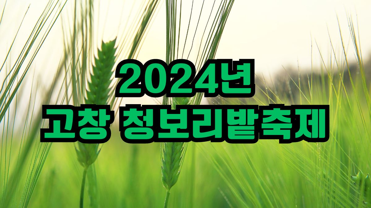 2024년 고창 청보리밭축제