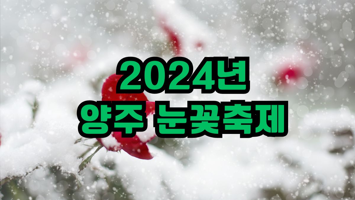 2024년 양주 눈꽃축제