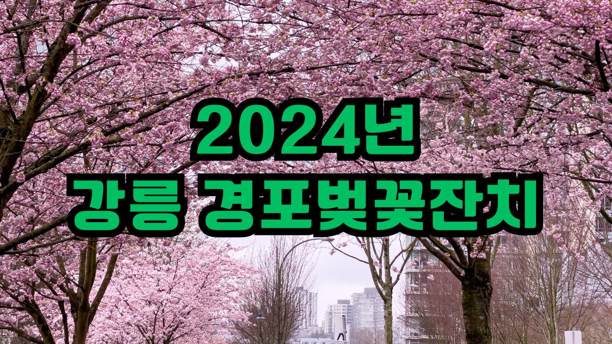 2024년 강릉 경포벚꽃잔치