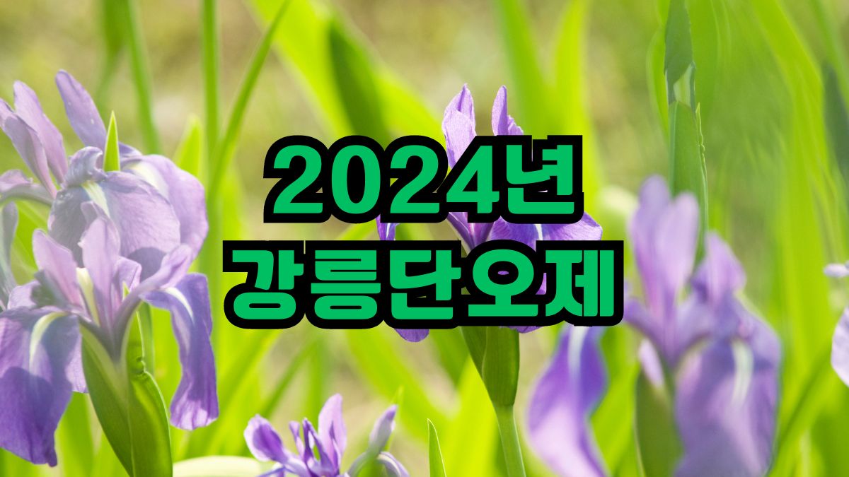 2024년 강릉단오제