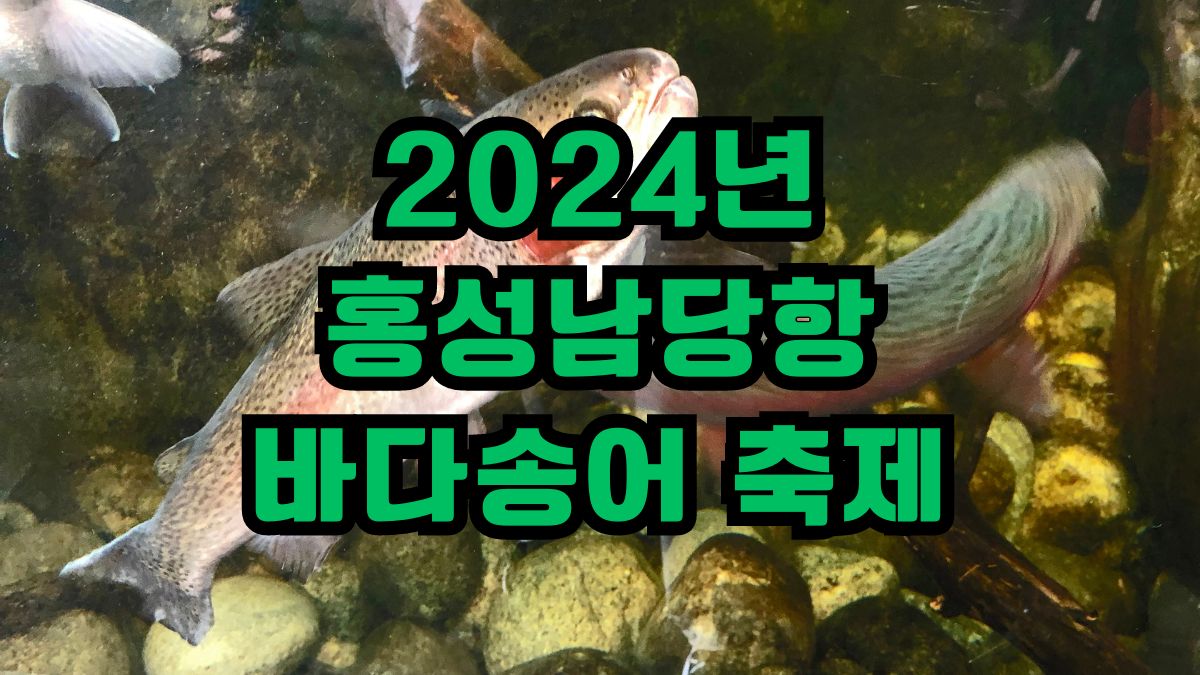 2024년 홍성남당항 바다송어 축제