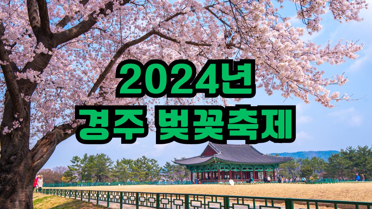 2024년 경주 벚꽃축제