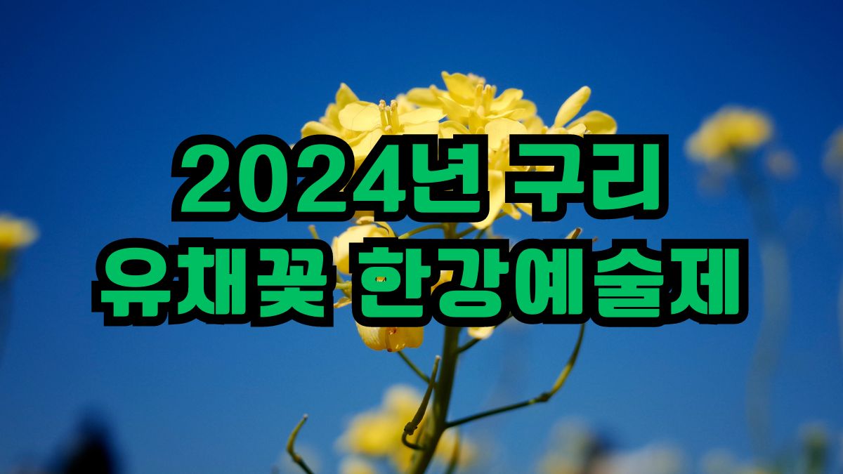 2024년 구리 유채꽃 한강예술제