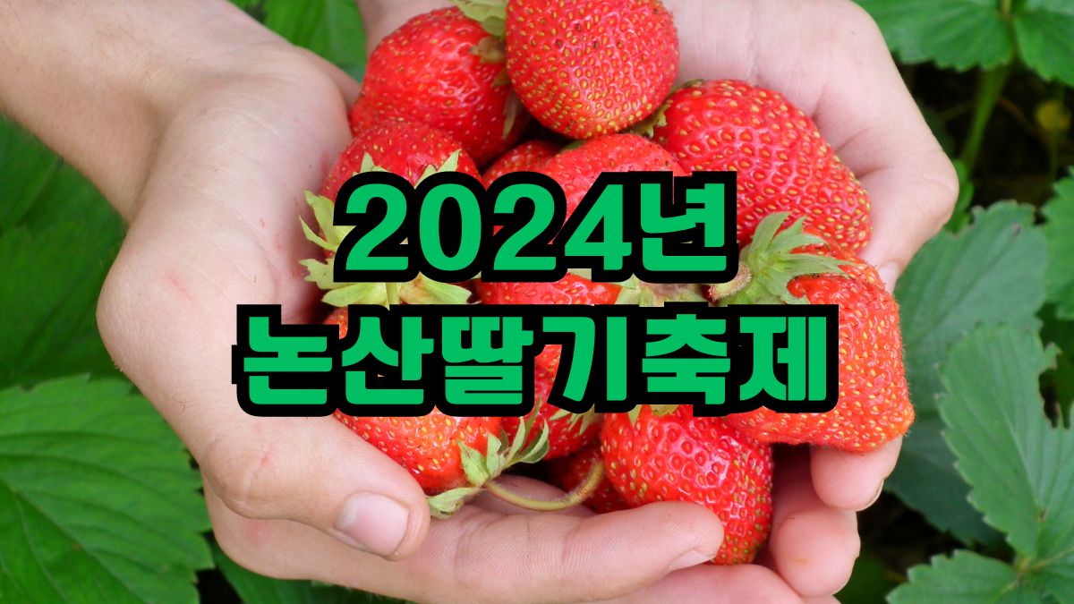 2024년 논산딸기축제