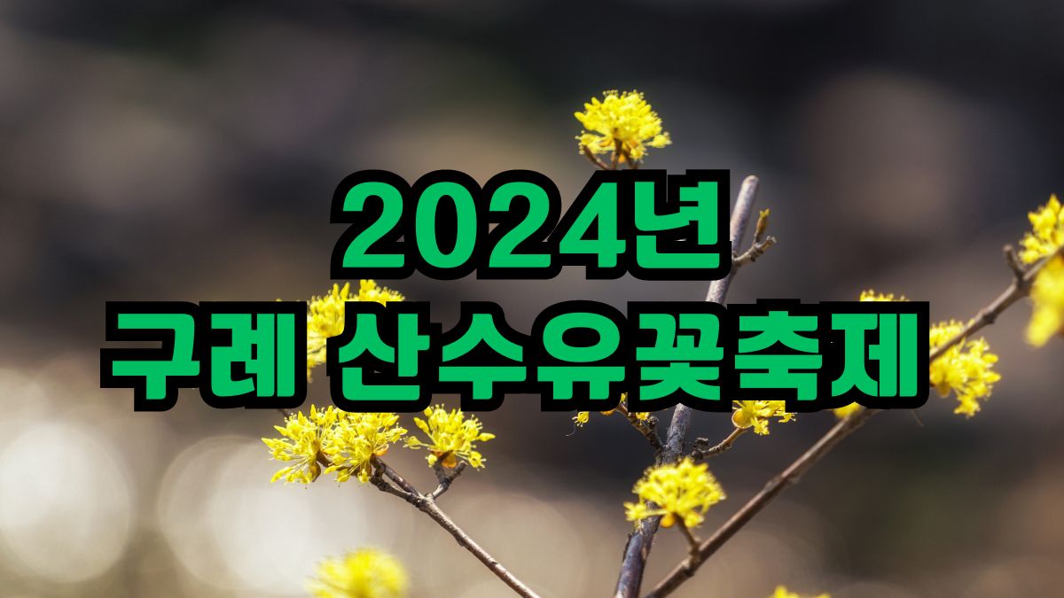 2024년 구례 산수유꽃축제