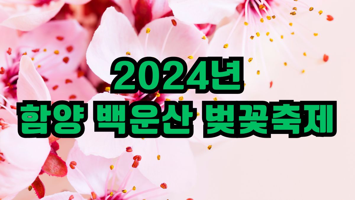 2024년 함양 백운산 벚꽃축제