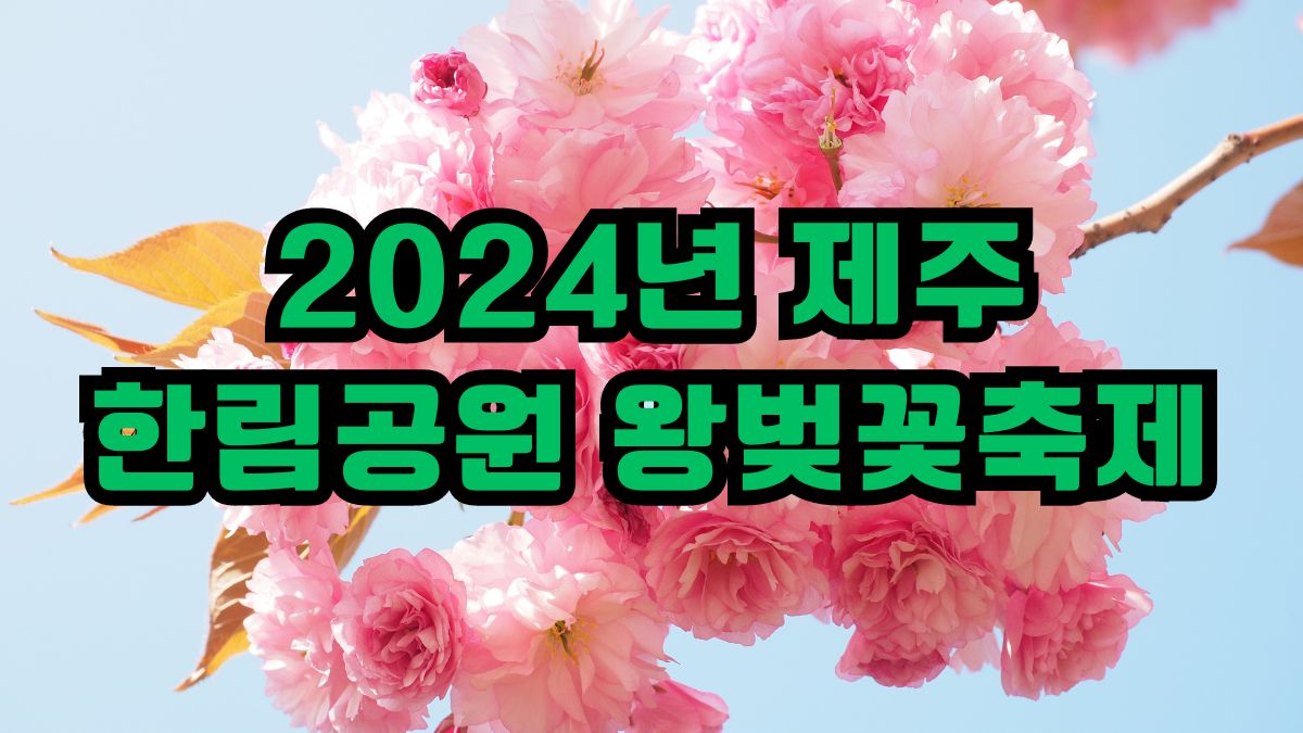 2024년 제주 한림공원 왕벚꽃축제