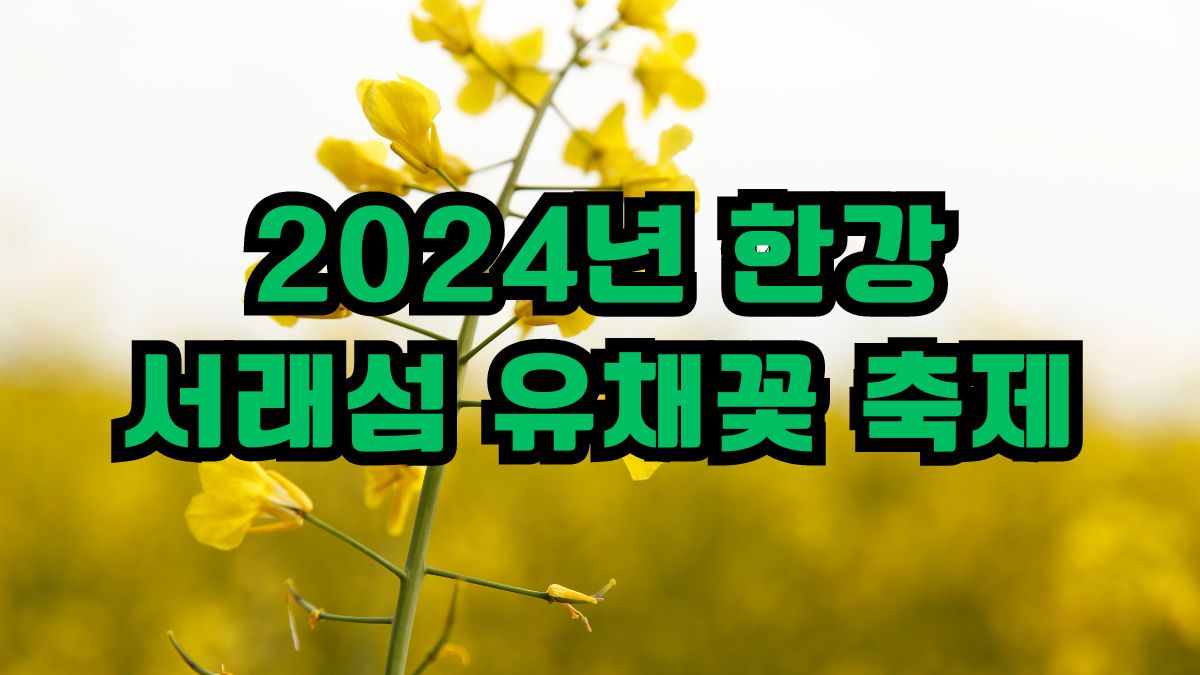 2024년 한강 서래섬 유채꽃 축제