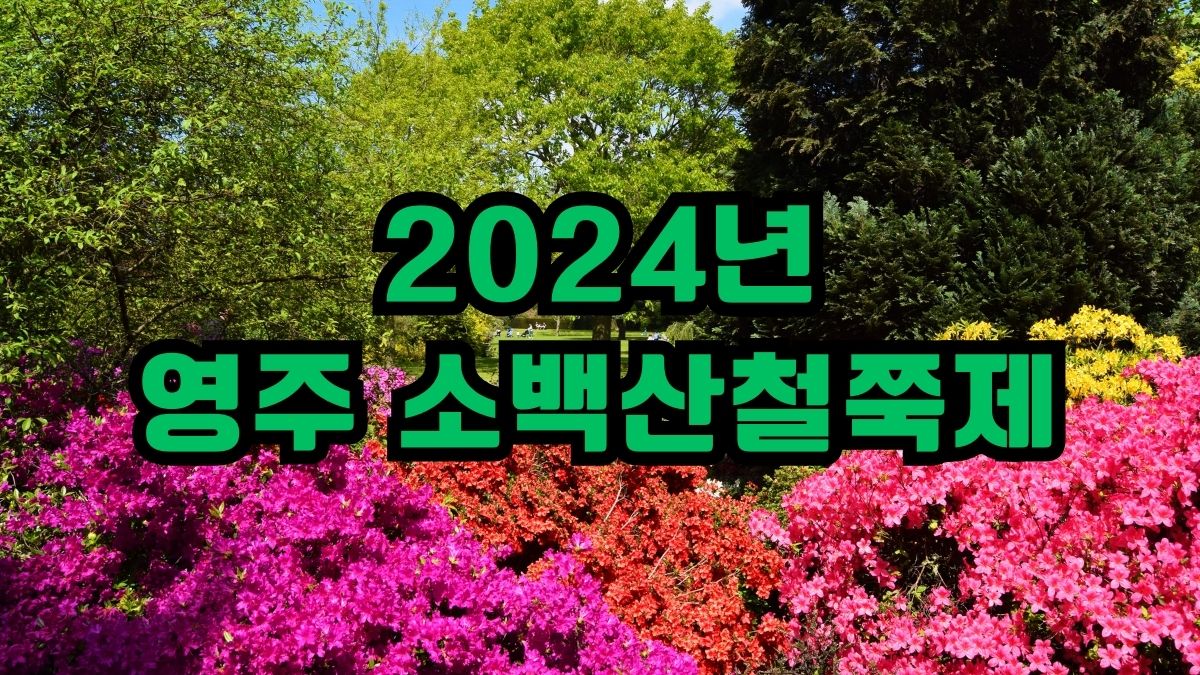 2024년 영주 소백산철쭉제