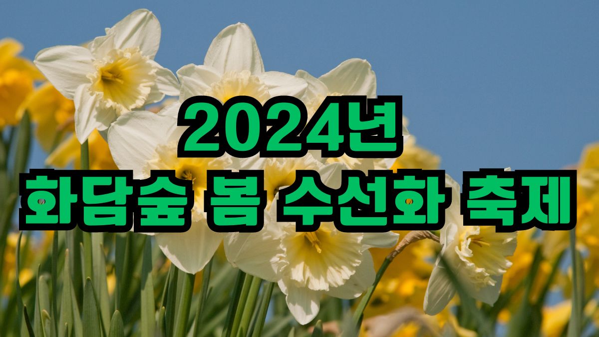 2024년 화담숲 봄 수선화 축제