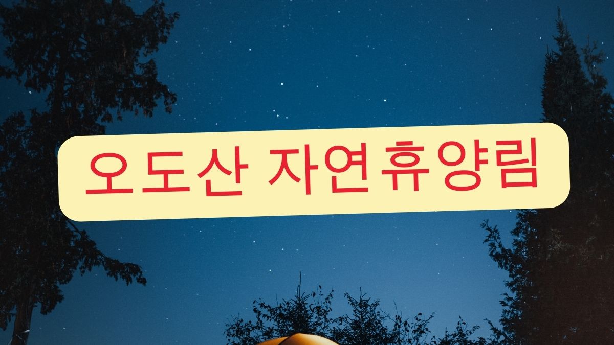 오도산 자연휴양림