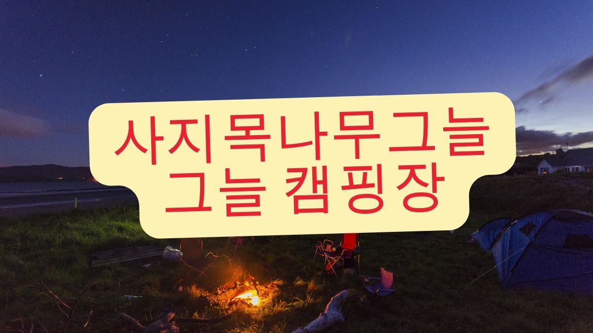 사지목나무그늘그늘 캠핑장