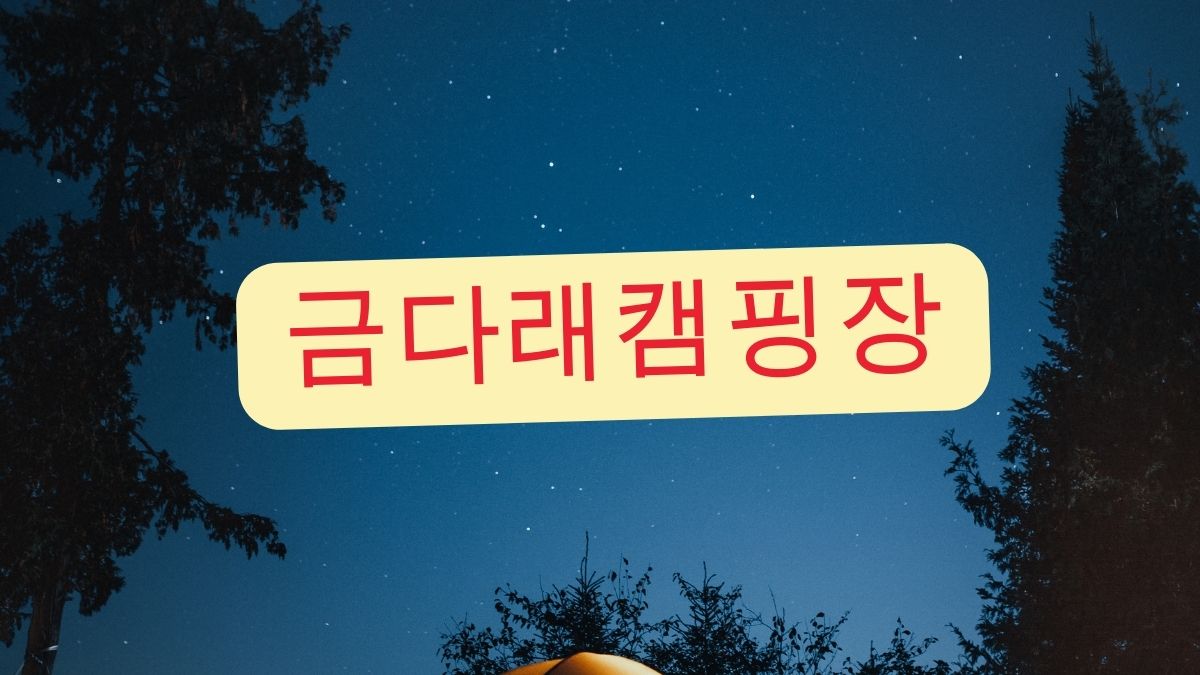 금다래캠핑장