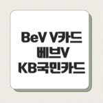 BeV V카드 베브V KB국민카드