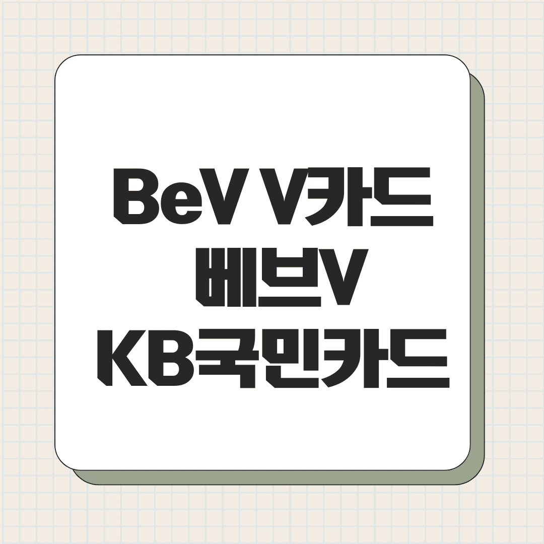 BeV V카드 베브V KB국민카드