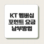 KT 멤버십 포인트 요금 납부 방법