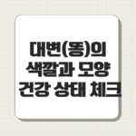 대변(똥)의 색깔과 모양으로 보는 건강 상태 체크