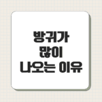 방귀가 많이 나오는 이유