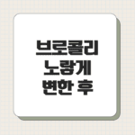 브로콜리 노랗게 변한 후 먹을 수 있나요?