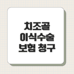 치조골이식수술 보험 청구