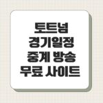 토트넘 경기일정 중계 방송 무료 사이트