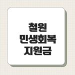 철원 민생회복지원금
