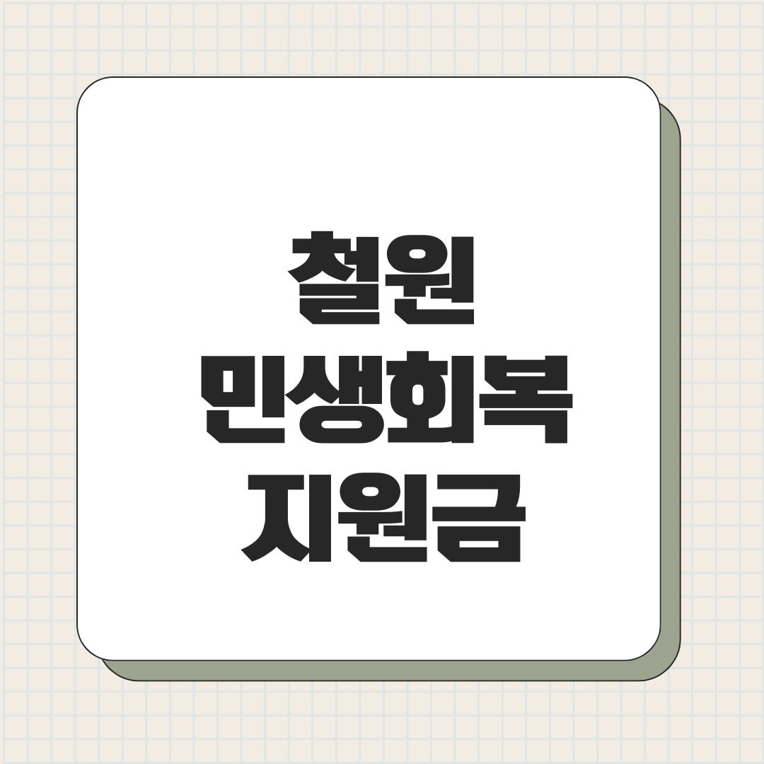 철원 민생회복지원금