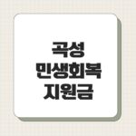곡성 민생회복지원금