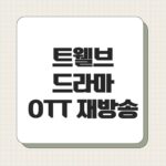 트웰브 드라마 OTT 재방송