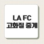 LA FC 고화질 중계