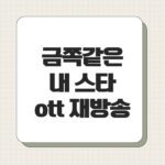금쪽같은 내 스타 ott 재방송