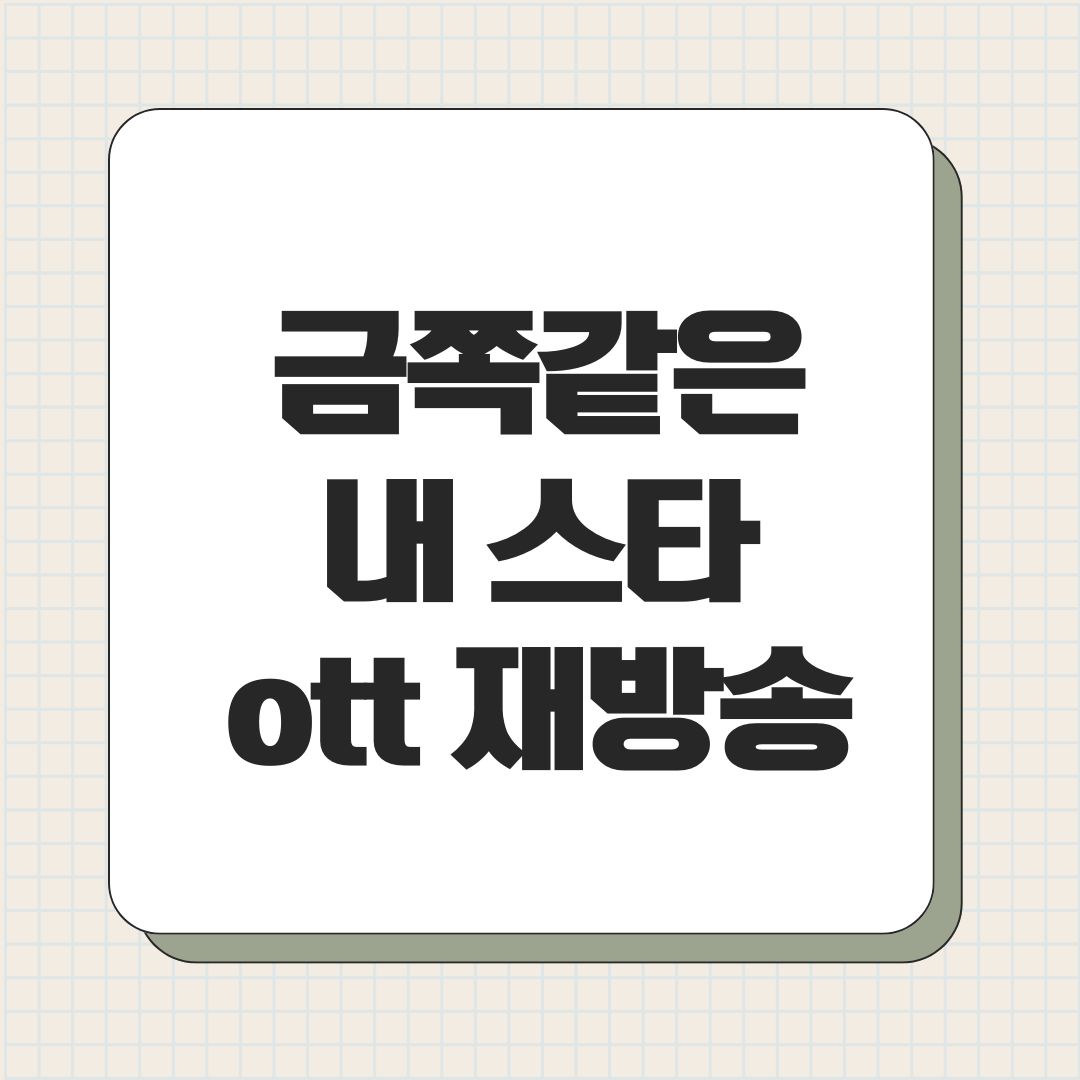 금쪽같은 내 스타 ott 재방송