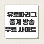 유로파리그 중계 방송 무료 사이트
