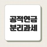 공적연금 분리과세