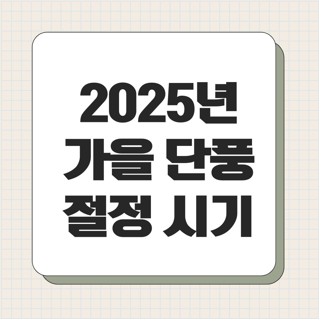 2025년 가을 단풍 절정 시기