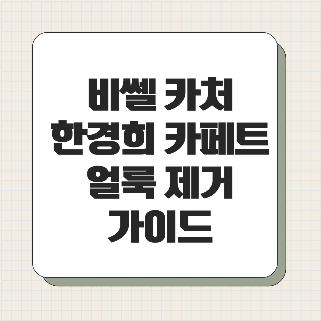 비쎌 카처 한경희 카페트 얼룩 제거 가이드