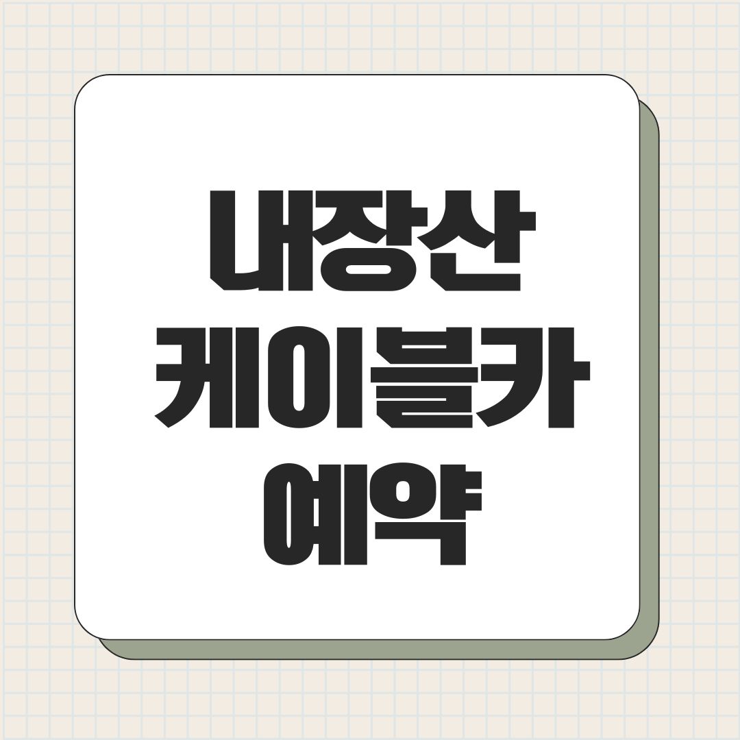 내장산 케이블카 예약