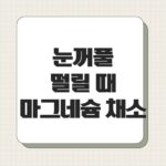 눈꺼풀 떨릴 때 마그네슘 채소